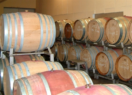 Luftbefeuchtung und Wein