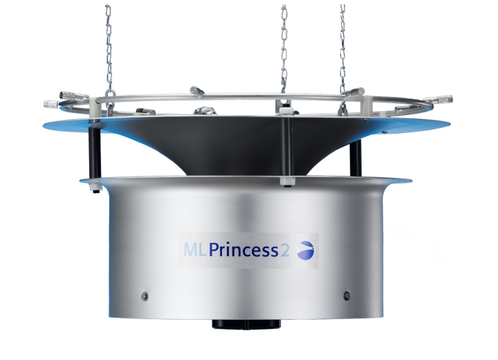 ML Princess