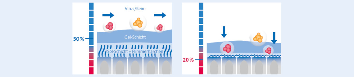 Natürliche Immunabwehr schützen